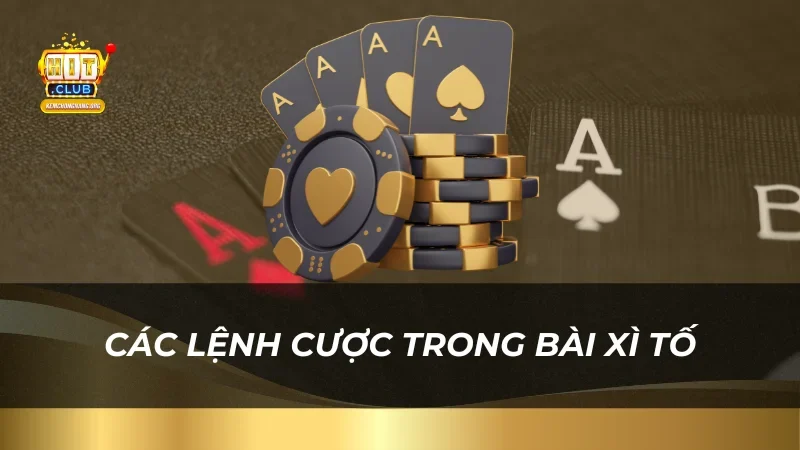 Các lệnh cược trong bài Xì Tố