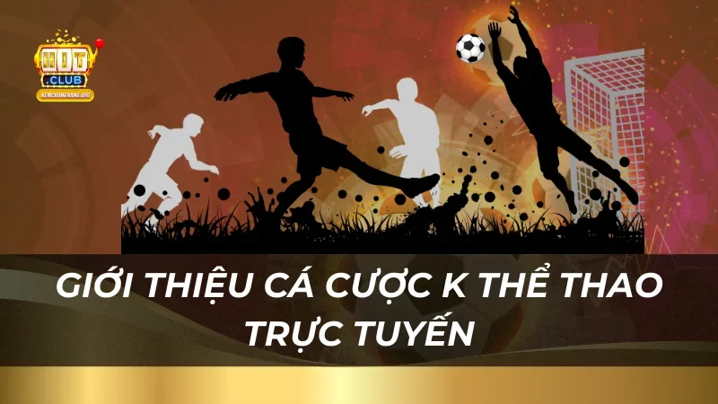 Giới thiệu cá cược K Thể Thao trực tuyến